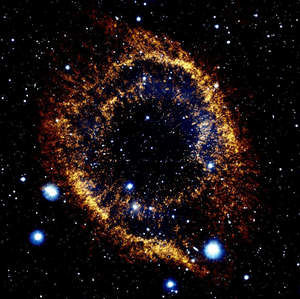 Meet your Posher, Evaney